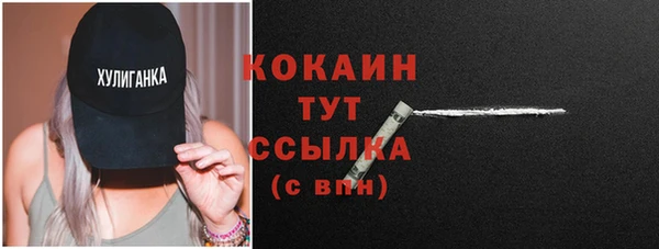 дживик Медвежьегорск