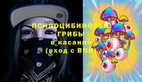 молекула духа Магас