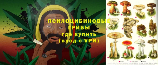 молекула духа Магас