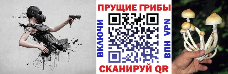Псилоцибиновые грибы Magic Shrooms  дарк нет официальный сайт  Павловский Посад  хочу  