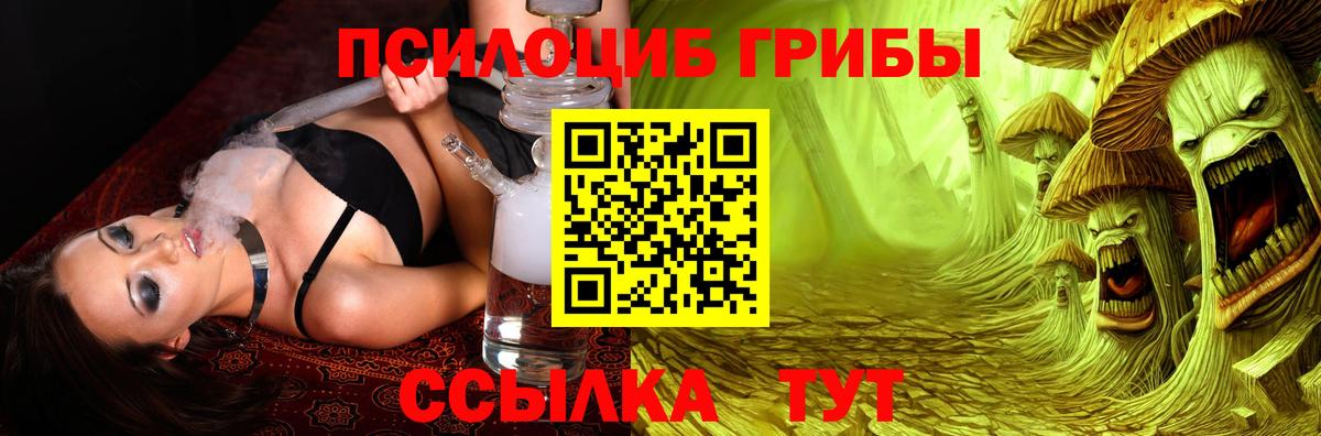 наркота  Галлюциногенные грибы MAGIC MUSHROOMS  Вход с VPN  Павловский Посад 