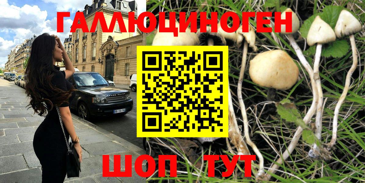 Галлюциногенные грибы мухоморы  Павловский Посад  Галлюциногенные грибы Cubensis 